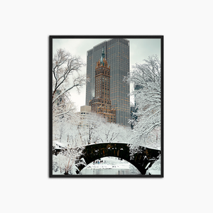 Central Park - Print Muurdecoratie