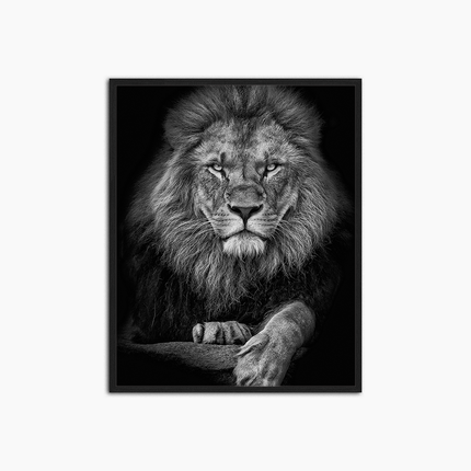 Le Lion - Décoration murale imprimée
