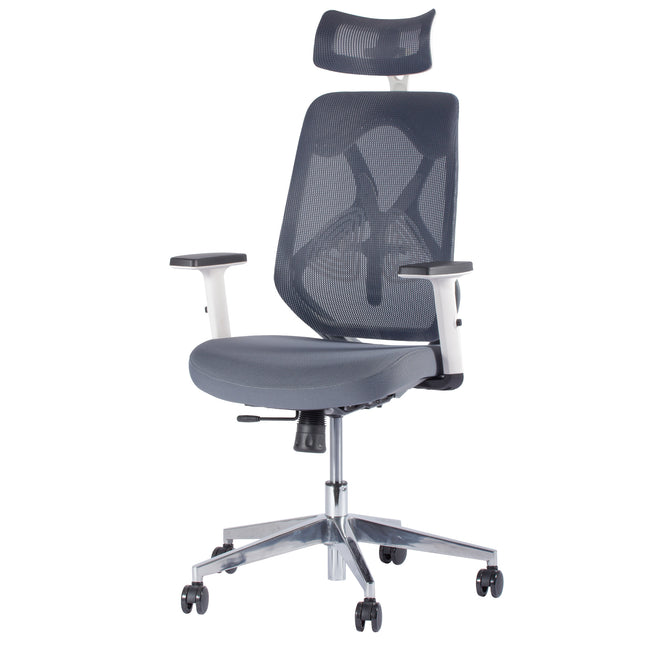 Chaise de Bureau Ergonomique ERGO-1 - Gris/Blanc