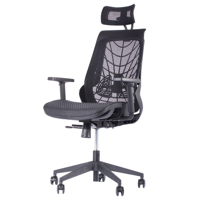 Chaise de Bureau Ergonomique ERGO-2 - Noir