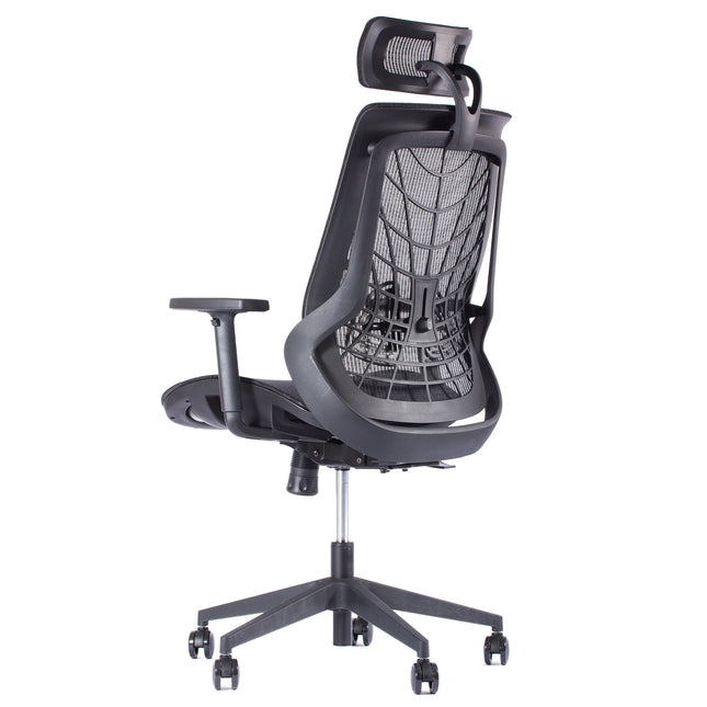 Chaise de Bureau Ergonomique ERGO-2 - Noir