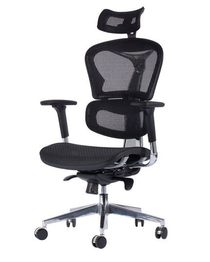 Chaise de Bureau Ergonomique ERGO-3 Noir