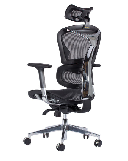 Chaise de Bureau Ergonomique ERGO-3 Noir