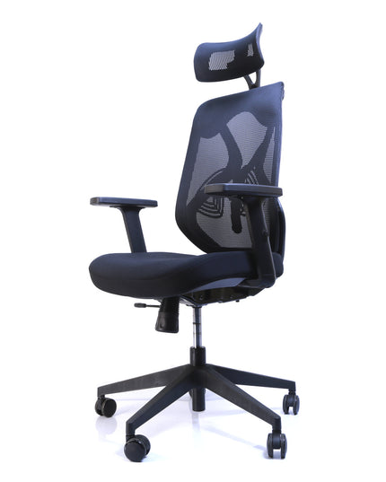 Chaise de Bureau Ergonomique ERGO-1 - Noir