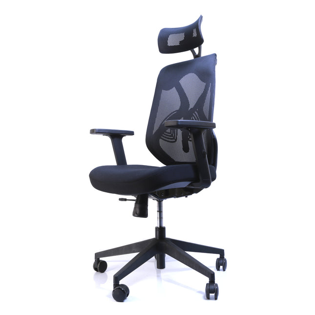Chaise de Bureau Ergonomique ERGO-1 - Noir
