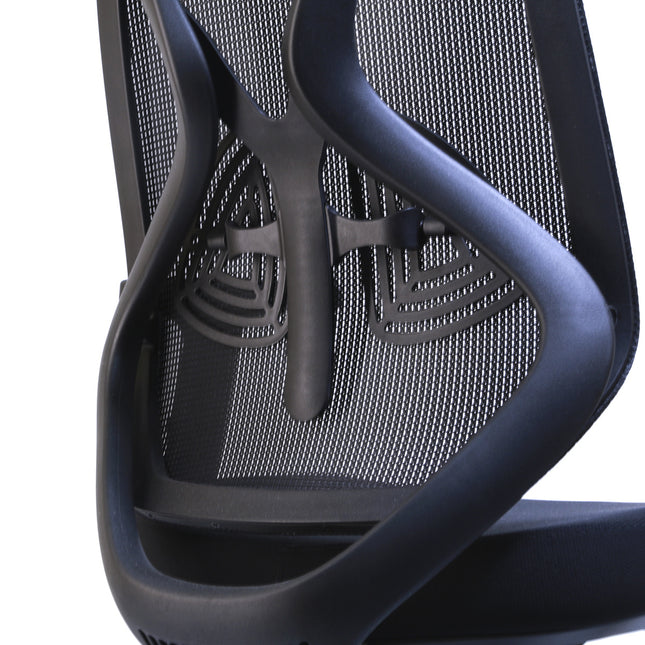 Chaise de Bureau Ergonomique ERGO-1 - Noir