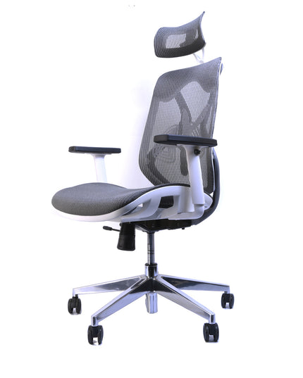 Chaise de Bureau Ergonomique ERGO-2 - Gris/Blanc